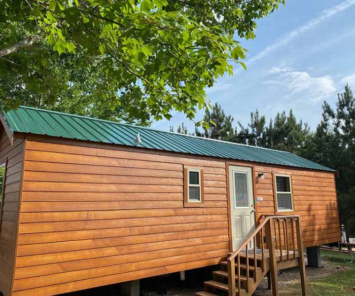 Yogi Bear cabin exterior surrounded by grass and trees