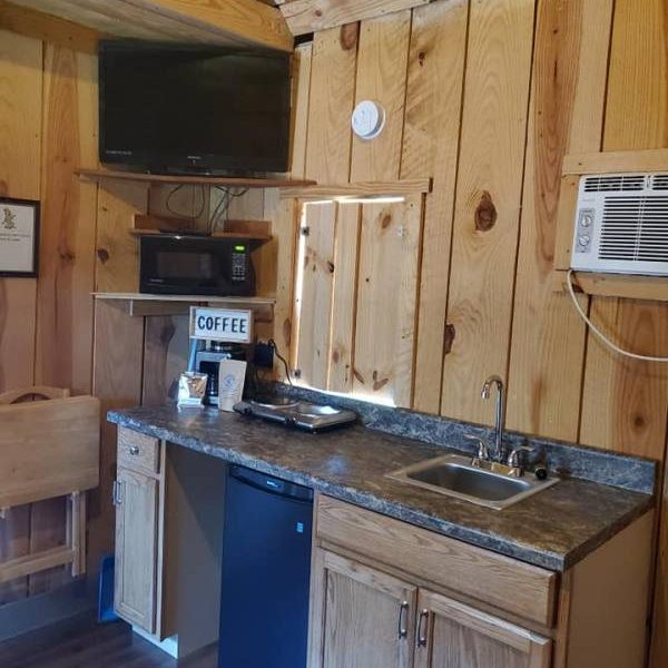 Pet friendly cabin interior with TV, mini fridge, microwave, coffeemaker, heating plates, sink, and space heater