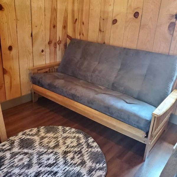 Pet friendly cabin interior futon couch