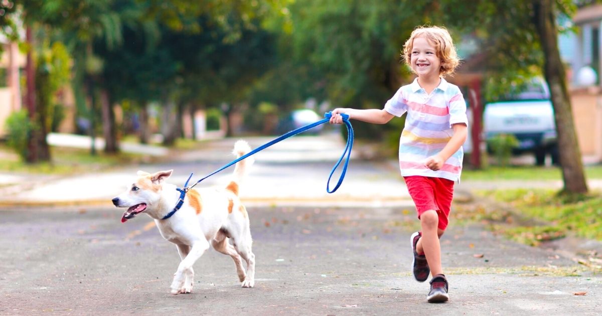 Camping Chores For Kids And How To Make Them Fun