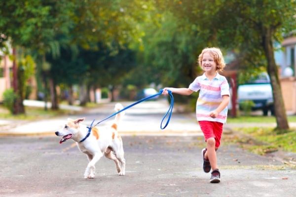 camping chores for kids